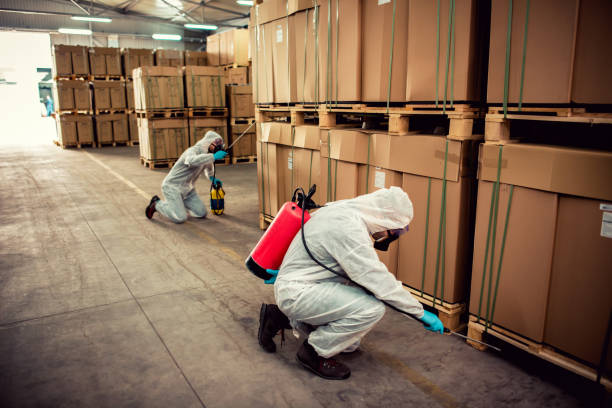 Best Wasp Removal Services  in Gary, IN