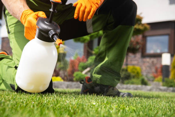 Best Mosquito Control Services  in Gary, IN